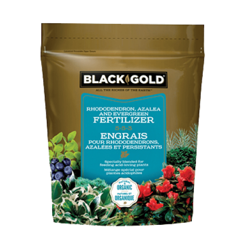 Black Gold - Evergreen 150 Gram Organic - Plant Food 5-5-3