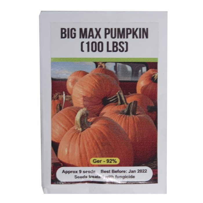 Signature Seeds - Big Max Hybrid Pumpkin Seeds - Approx. 9 Seeds/Pack