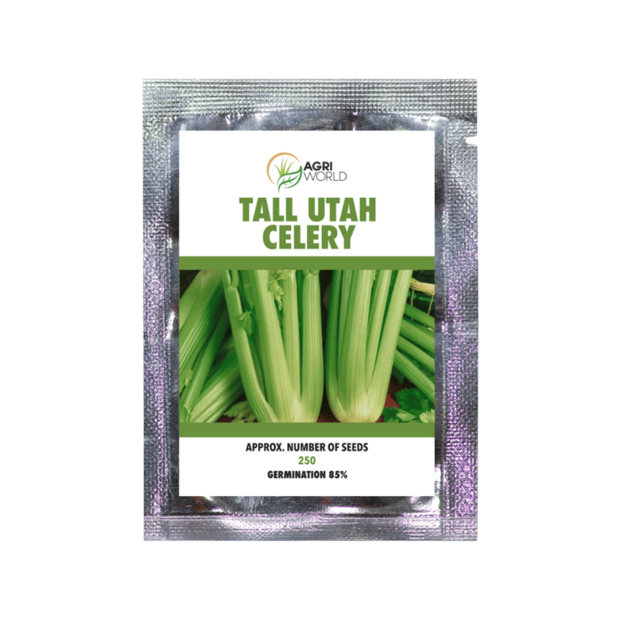 Agri World - Tall Utah Celery Seeds - Approx. 250 Seeds/Pack