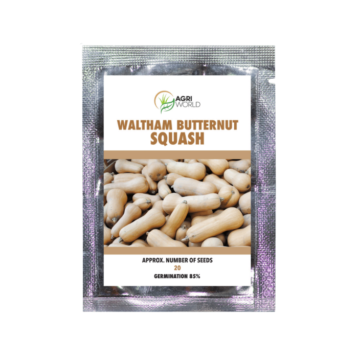 Squash Walnut Butternut Seeds - Approx. 20 Seeds/Pack