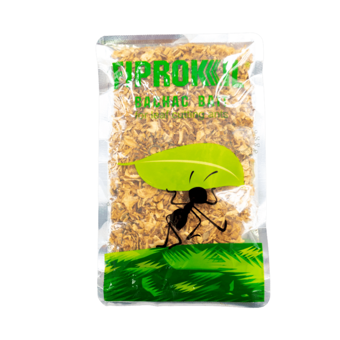 - - Fiprokil Bachac Bait 70 Gram - Orange Peel/Fipronil Bait
