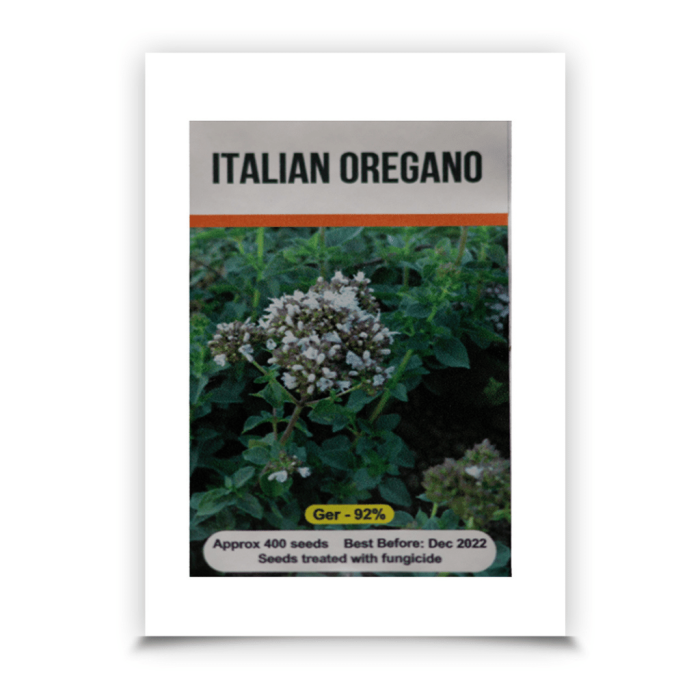Signature Seeds - Italian Oregano Seeds - Approx. 400 Seeds/Pack