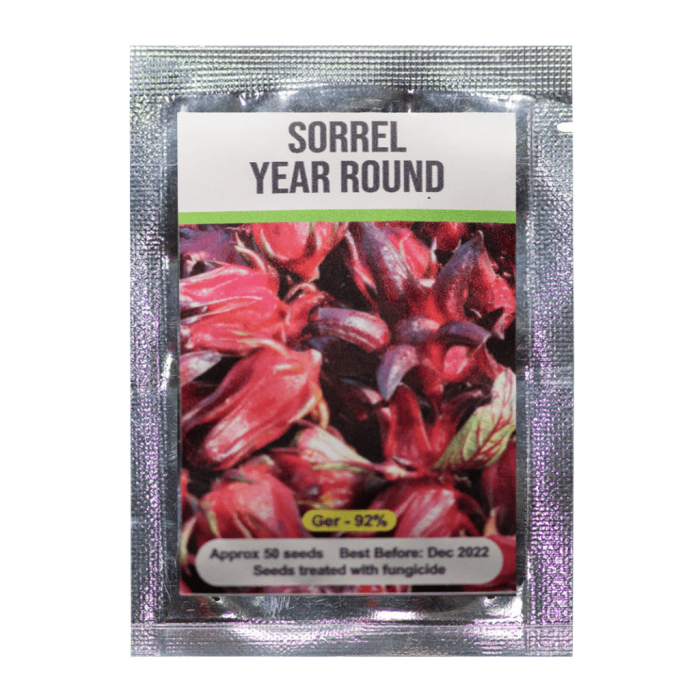Signature Seeds - Year-Round Red Sorrel Seeds - Approx. 50 Seeds/Pack