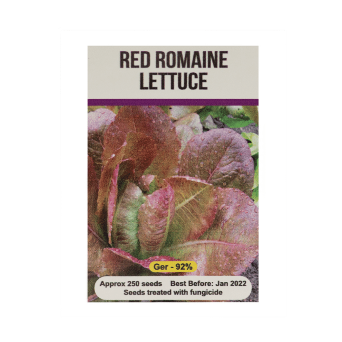 Signature Seeds - Red Romaine Lettuce Seeds - Approx. 250 Seeds/Pack