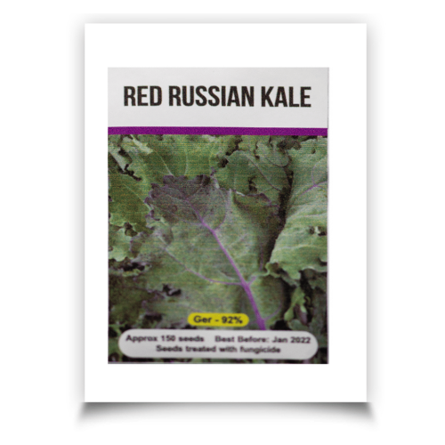 Signature Seeds - Red Russian Kale Seeds - Approx. 150 Seeds/Pack