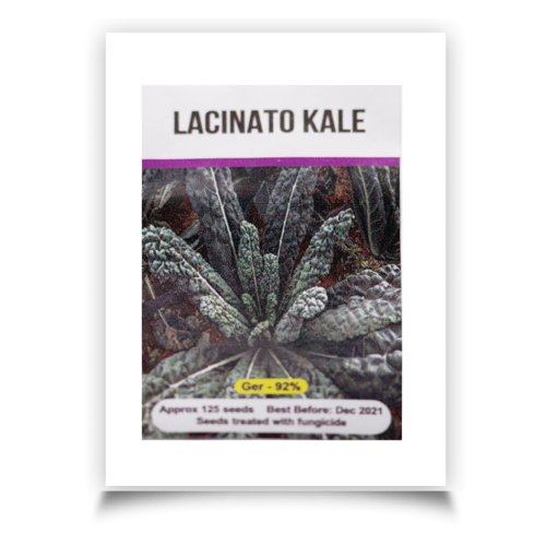Signature Seeds - Lacinato Kale Seeds - Approx. 125 Seeds/Pack