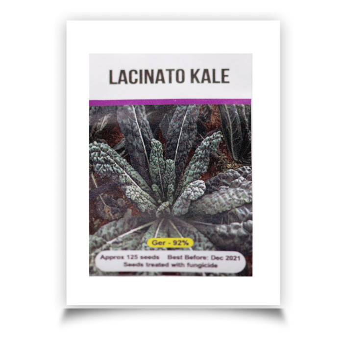 Signature Seeds - Lacinato Kale Seeds - Approx. 125 Seeds/Pack