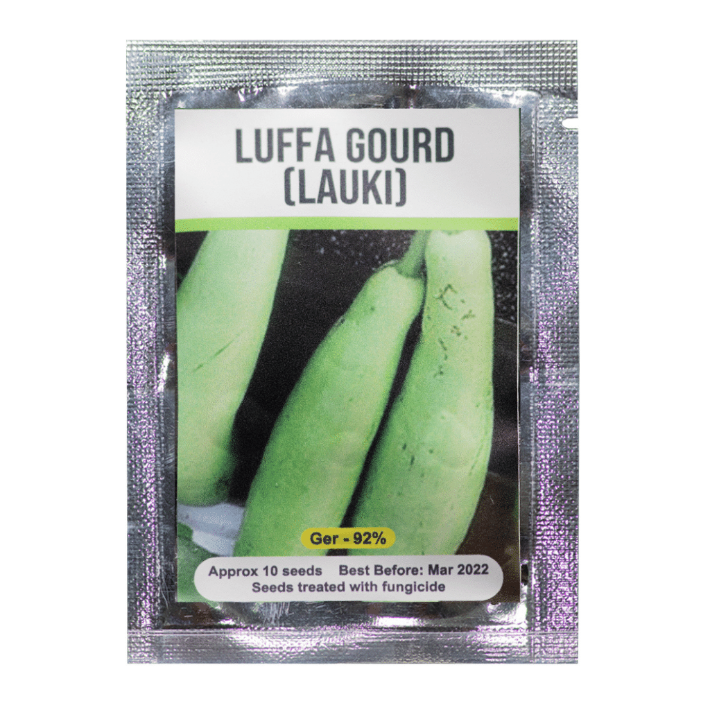 Signature Seeds - Lauki (Bottle Gourd) Seeds - Approx. 10 Seeds/Pack ...