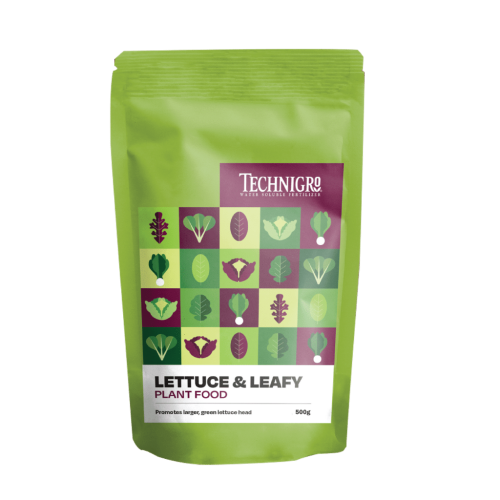 Technigro - Lettuce Fertilizer 500 Gram - Water Soluble 8-15-36 (10/Cs)